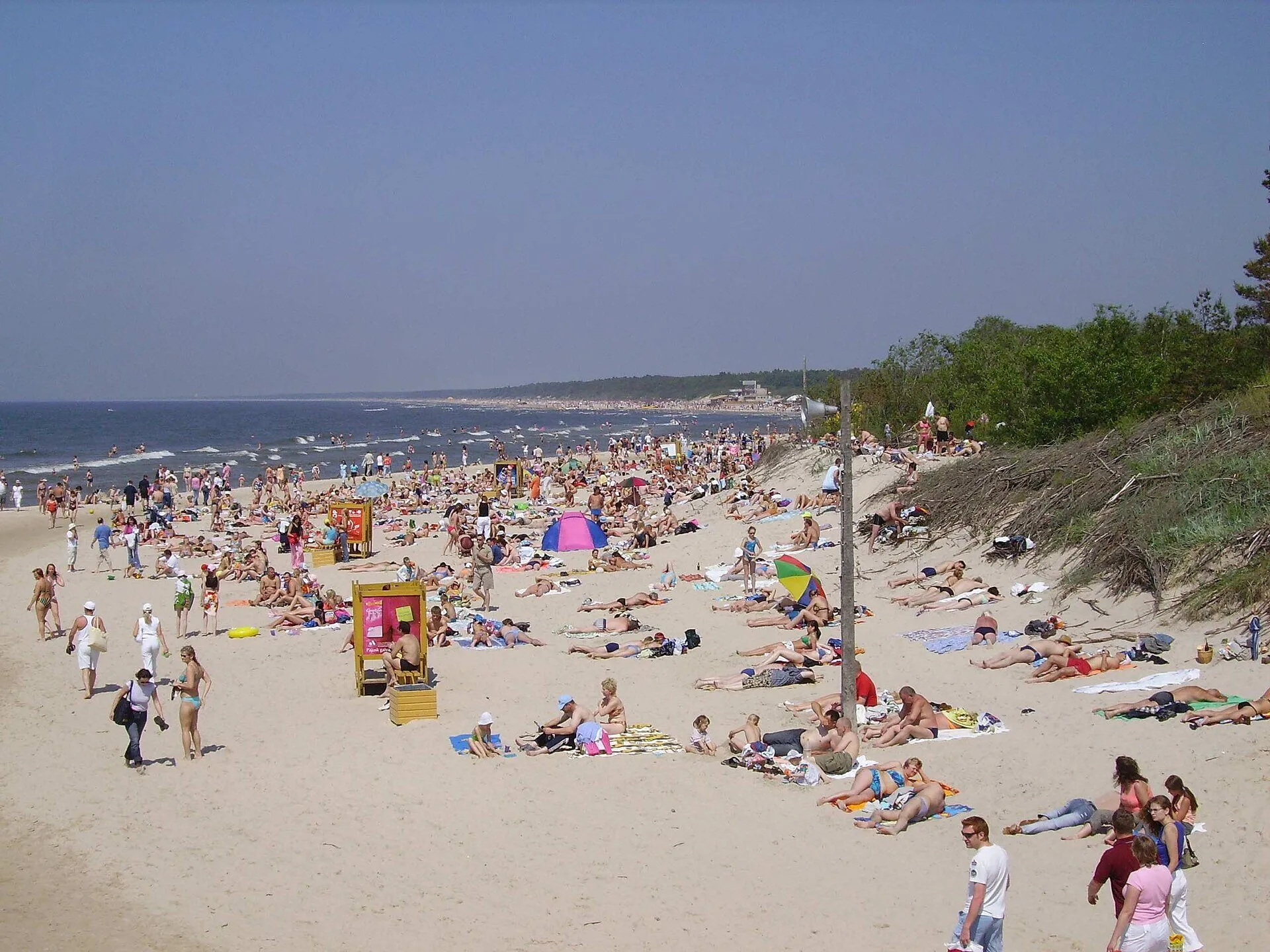 Palanga's wide beach backed by pine-covered dunes